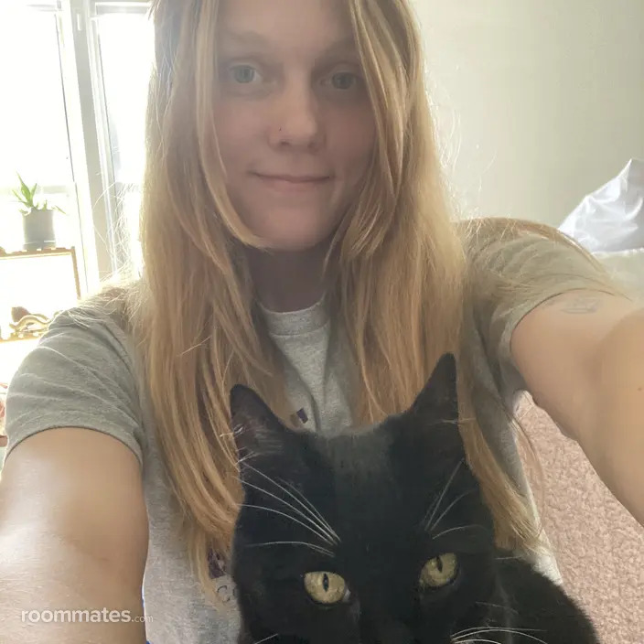 Roommate looking Philadelphia, PA, $800