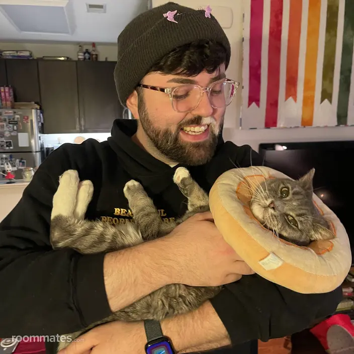 Roommate looking Danbury, CT, $900