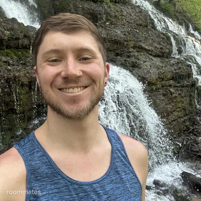 Roommate looking Holland, MI, $800