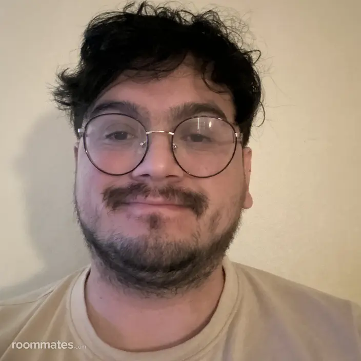 Roommate looking Houston, TX, $700