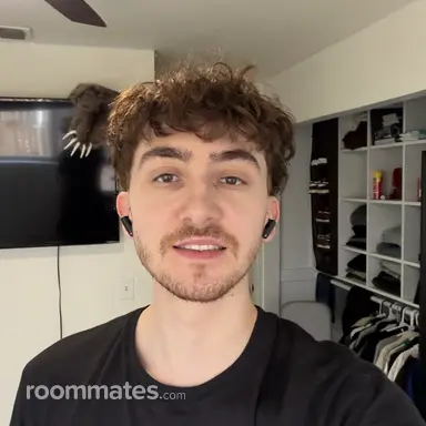 Roommate looking Rancho Cordova, CA, $900