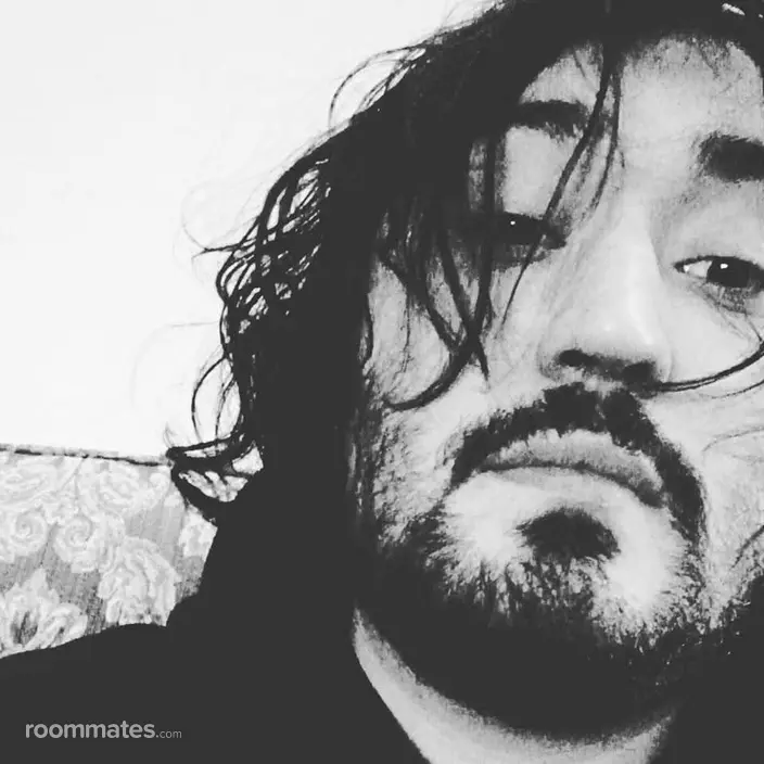 Roommate looking Chicago, IL, $600