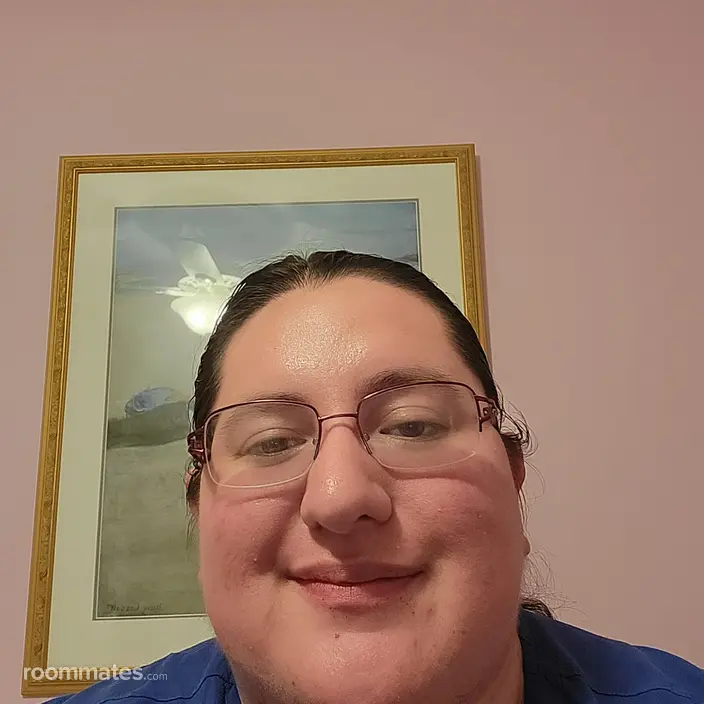 Roommate looking Mount Airy, MD, $800