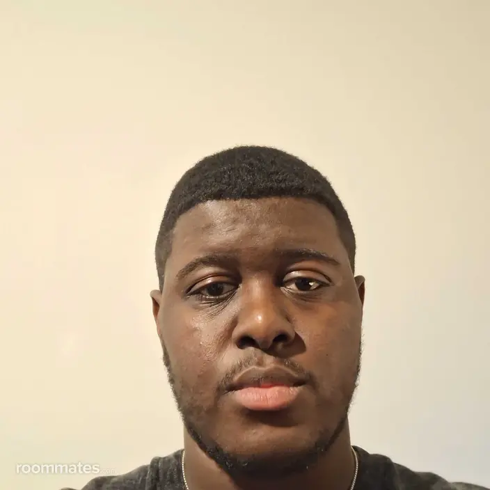 Roommate looking Raritan, NJ, $1200