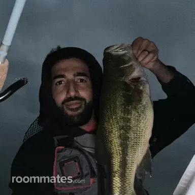 Thumbnail 11