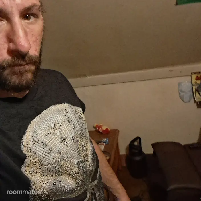 Roommate looking Momence, IL, $1000