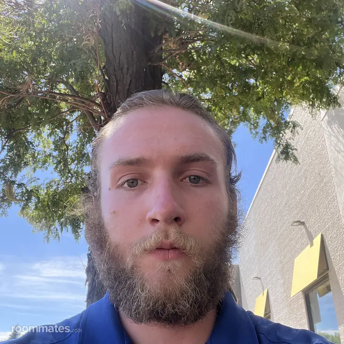 Roommate looking Denver, CO, $800