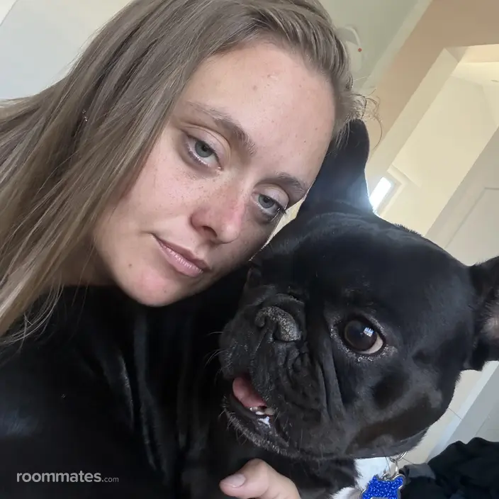 Roommate looking Chandler, AZ, $1000