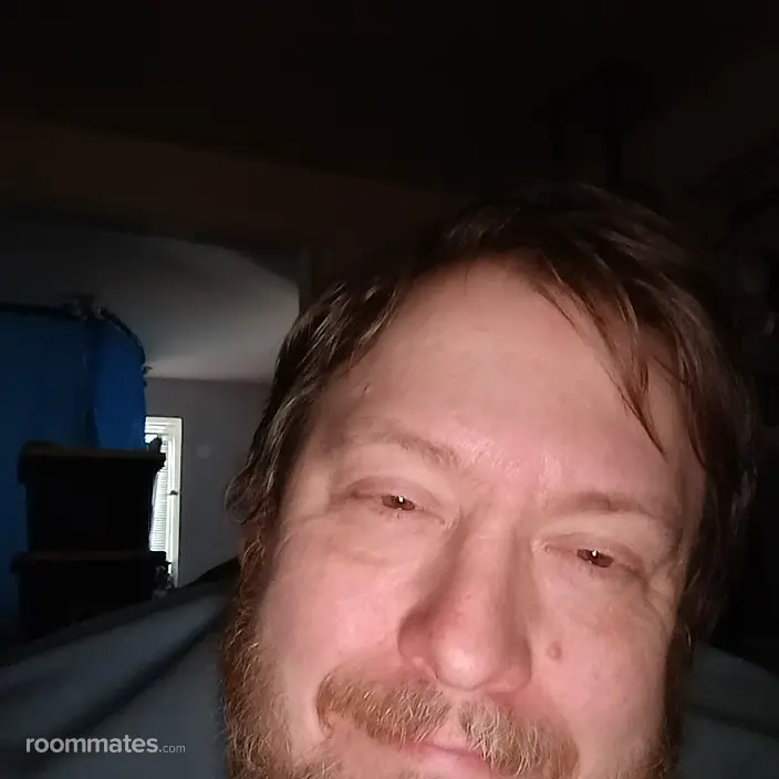 Roommate looking Indianapolis, IN, $500