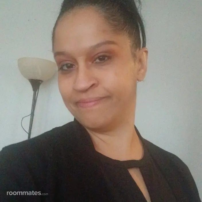Roommate looking Clinton Township, MI, $600