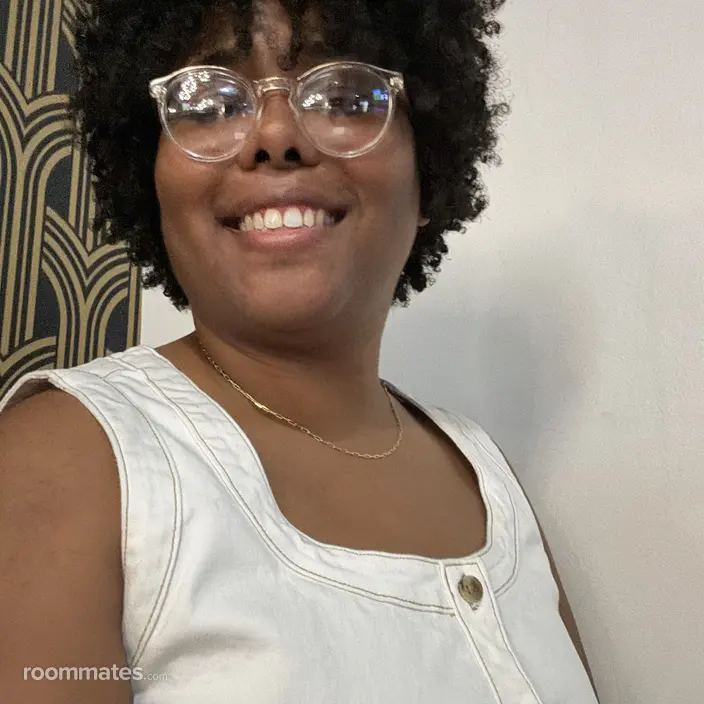 Roommate looking Birmingham, AL, $600
