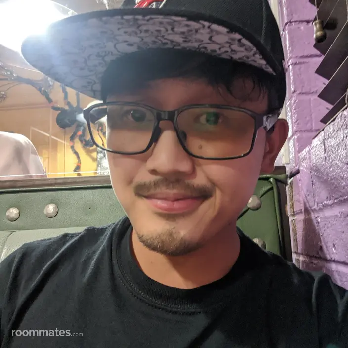 Roommate looking Bethlehem, GA, $700