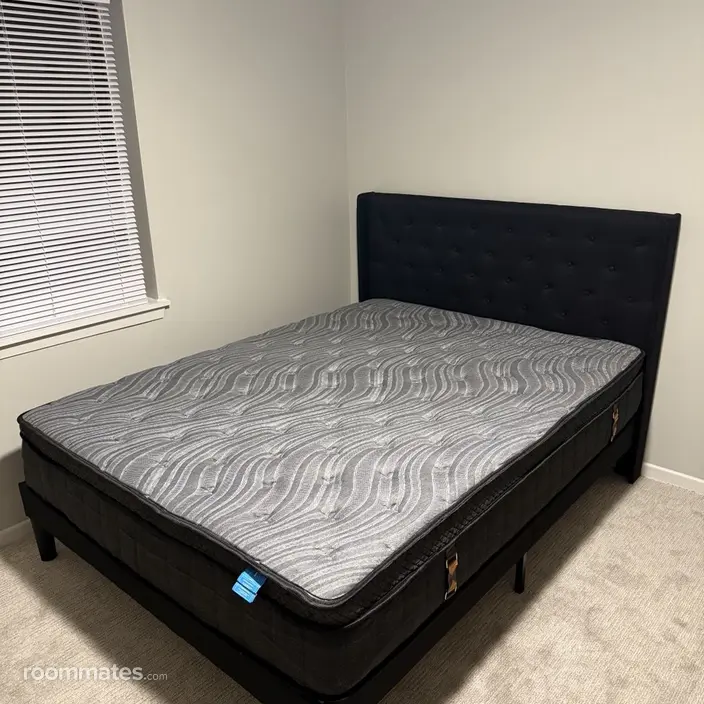 Room for rent in Palatine, IL $1050, condo