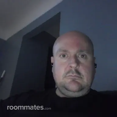 Roommate looking Sterling Heights, MI, $1000