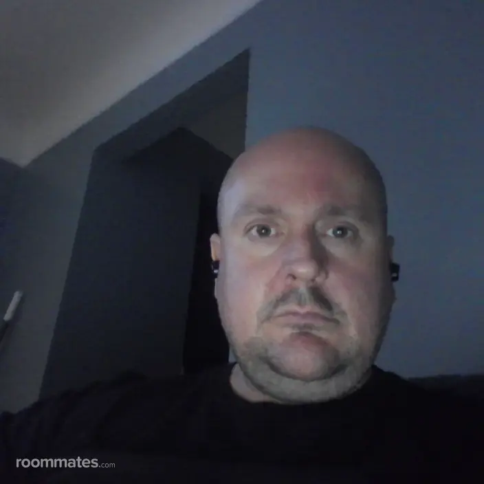 Roommate looking Sterling Heights, MI, $1000