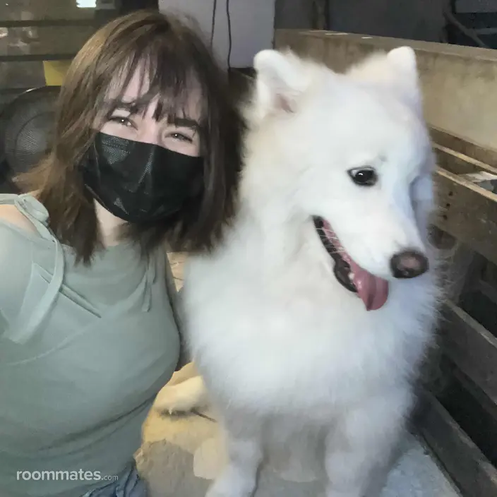 Roommate looking Tucson, AZ, $800