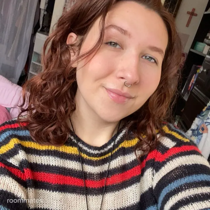 Roommate looking Ferndale, MI, $700