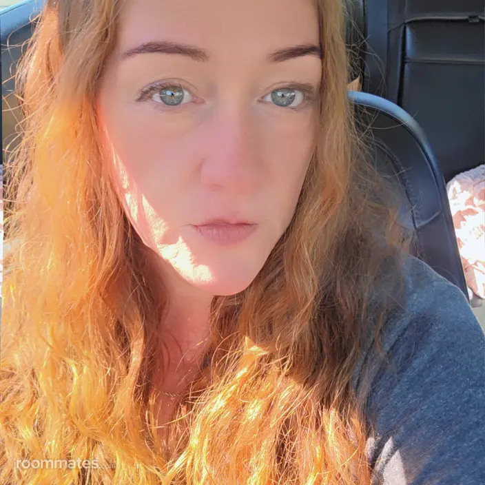 Roommate looking Taunton, MA, $900