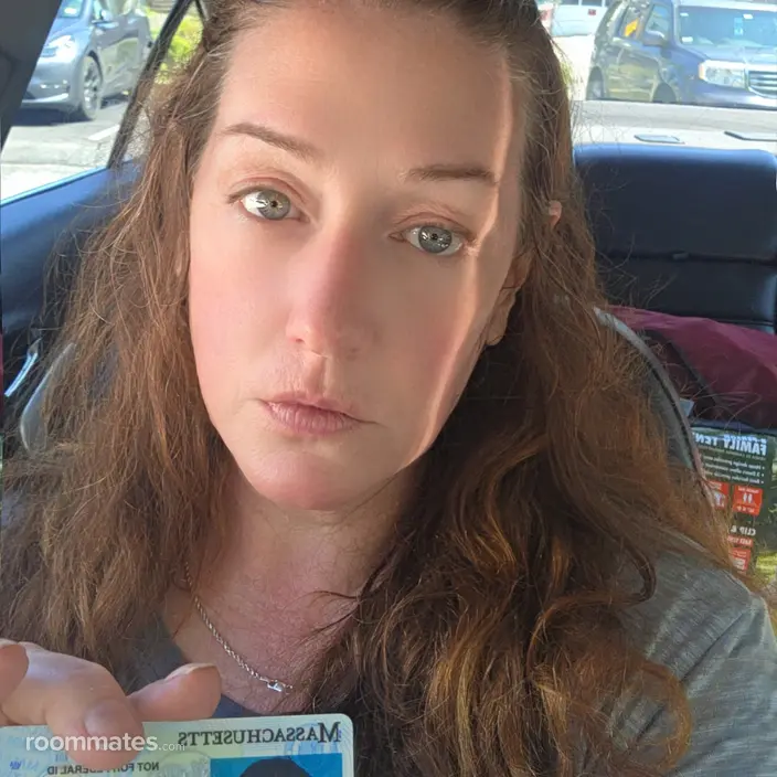 Roommate looking Taunton, MA, $900