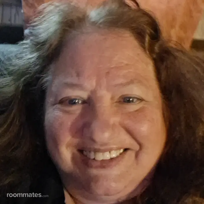 Roommate looking Fleetwood, PA, $600