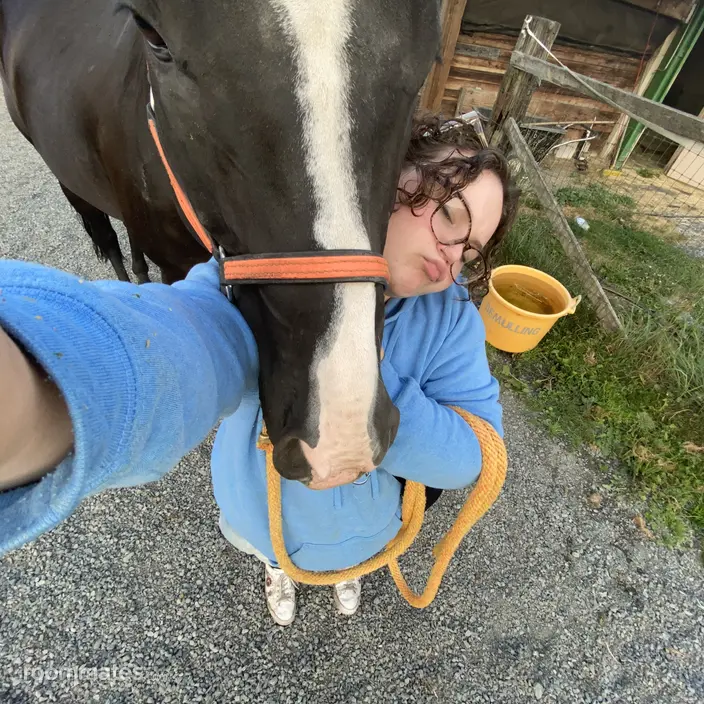 Roommate looking Snohomish, WA, $1300