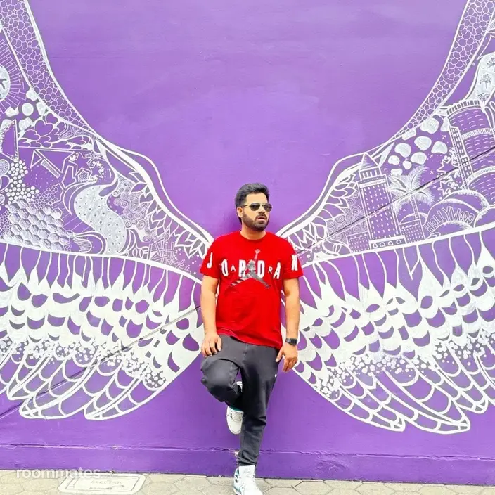 Roommate looking San Rafael CA, $500