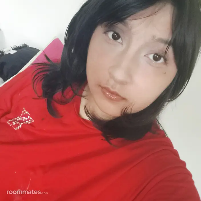 Roommate looking Spring, TX, $300