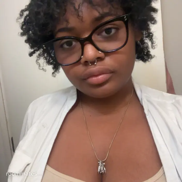Roommate looking Chicago, IL, $900