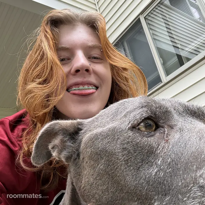 Roommate looking Cayce, SC, $900