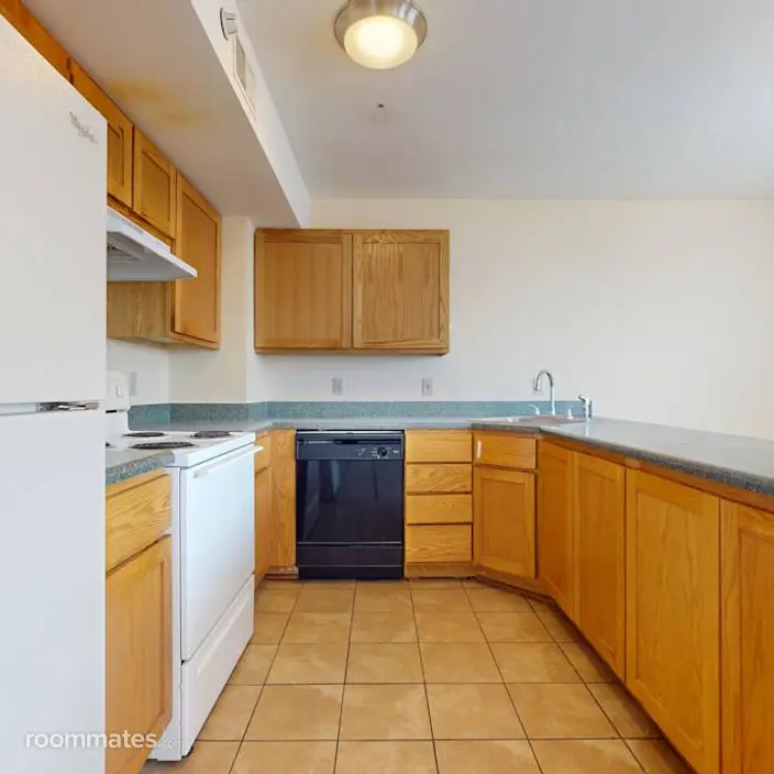 Room for rent in St. Louis, MO $1099, apartment