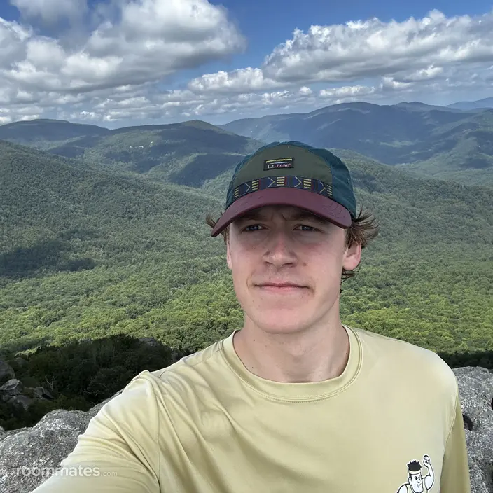 Roommate looking Rolling Meadows, IL, $1000