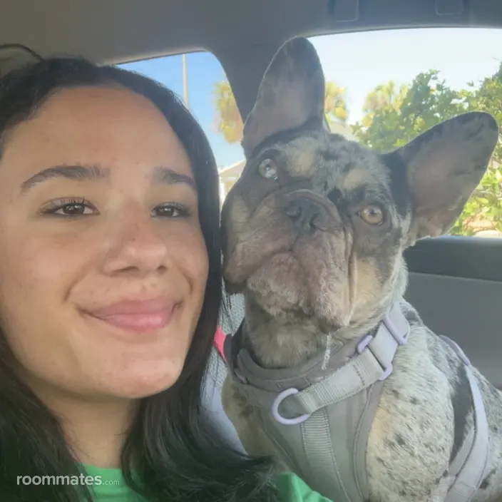 Roommate looking Largo, FL, $1200