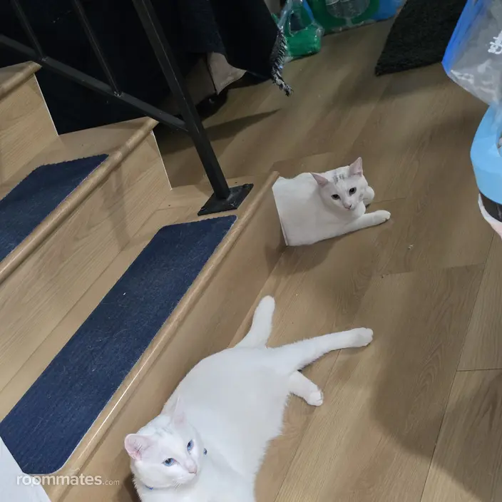 Room for rent in Moreno Valley, CA $900, house