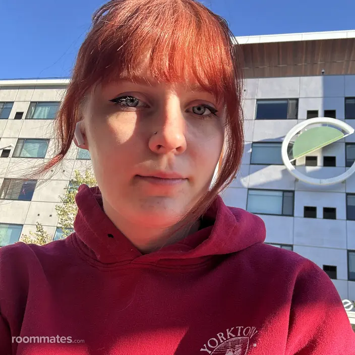 Roommate looking Bozeman, MT, $1000