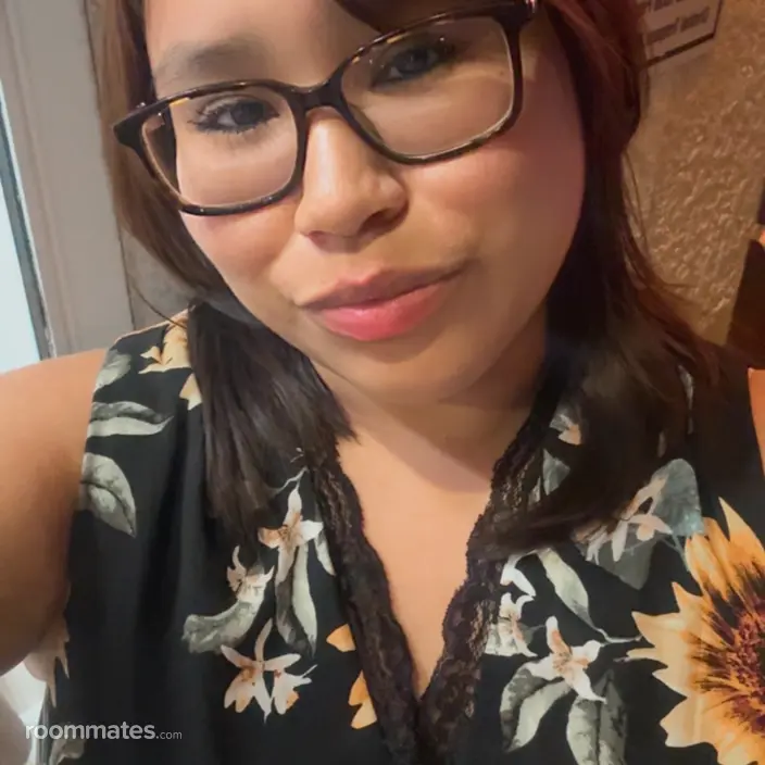 Roommate looking Arlington, TX, $700