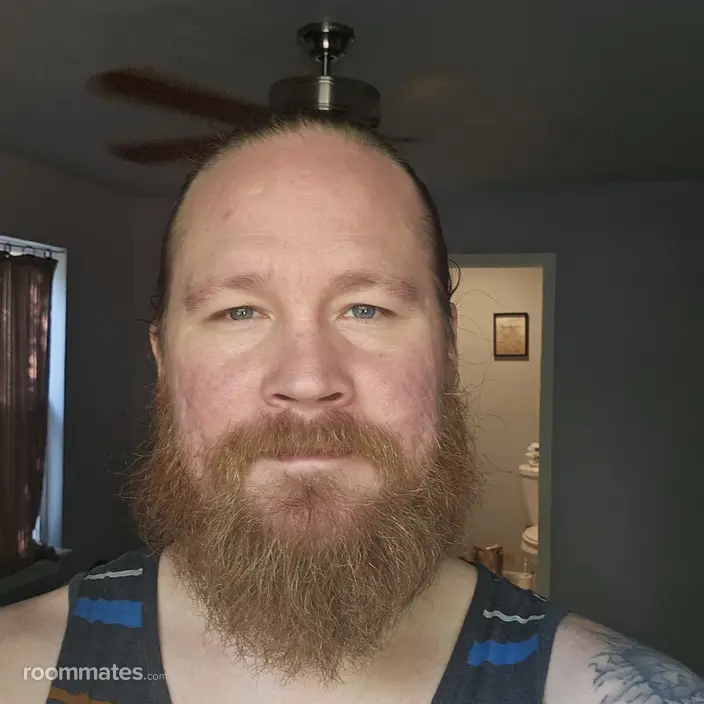 Roommate looking Fayetteville, AR, $700