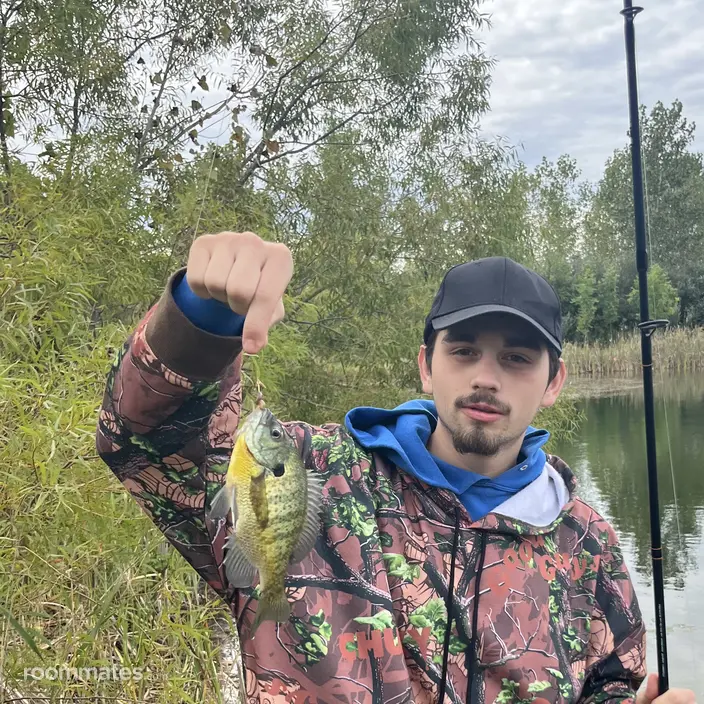 Roommate looking Stevensville MI, $600
