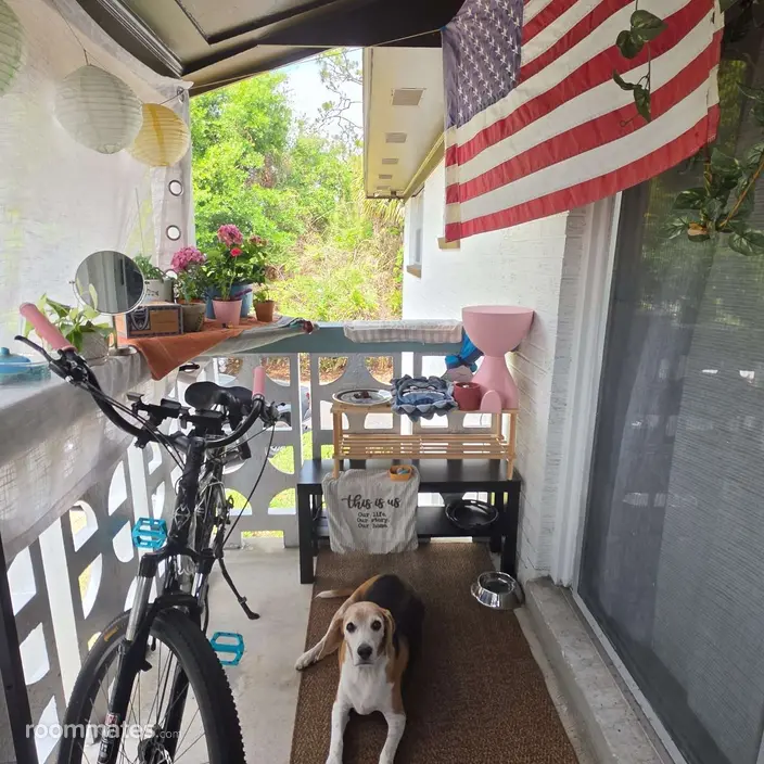 Room for rent in Winter Park, FL $900, apartment