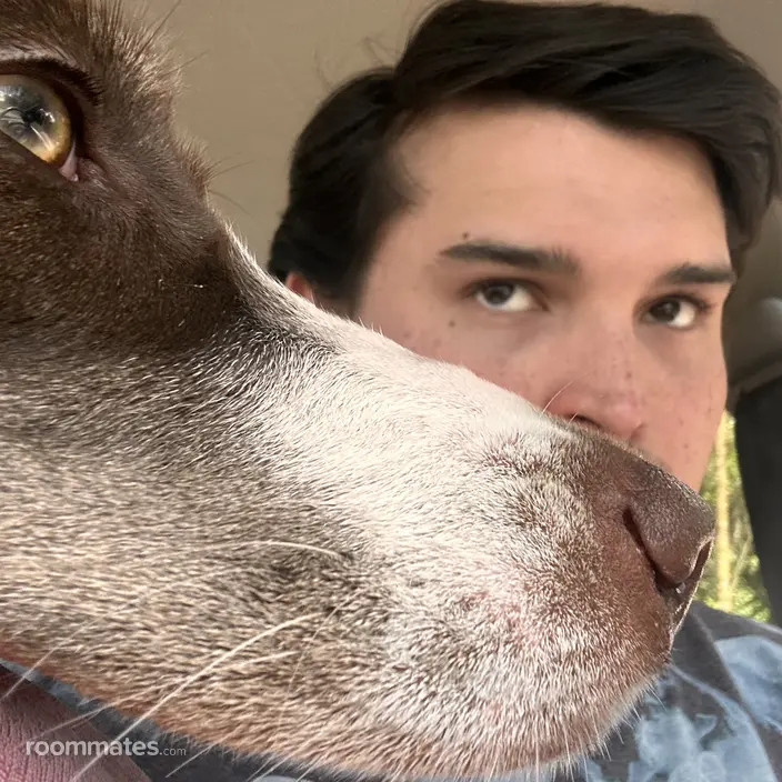 Roommate looking Escondido CA, $1000
