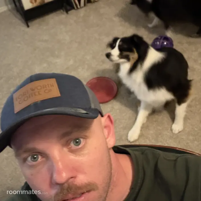 Roommate looking Fort Worth, TX, $1100