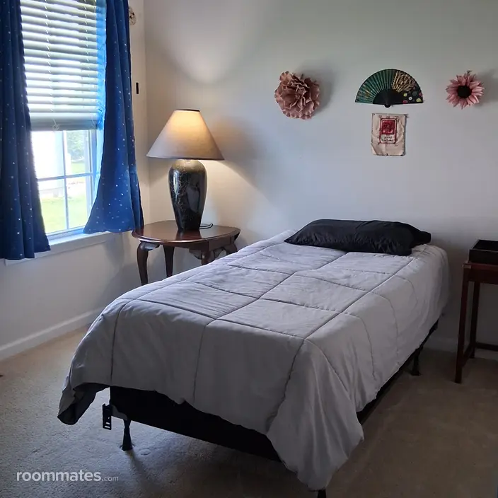 Room for rent in Smyrna, DE $800, house