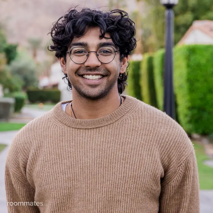 Roommate looking Chicago, IL, $1300