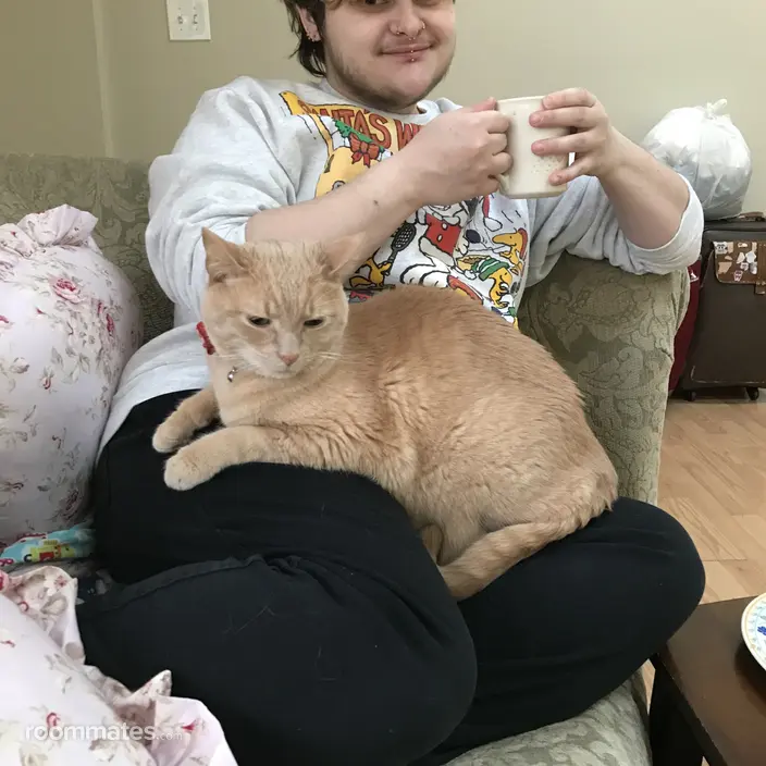 Roommate looking Algonquin, IL, $1000