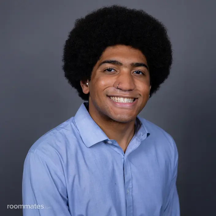 Roommate looking Chicago, IL, $1800