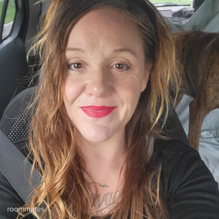 Roommate looking New Port Richey, FL, $900