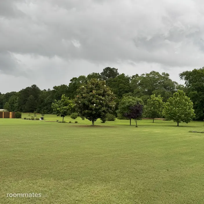 Room for rent in Sharpsburg, GA $1000, house