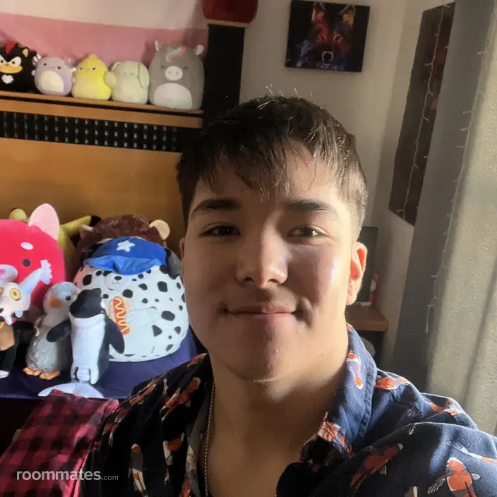Roommate looking Overland Park, KS, $900
