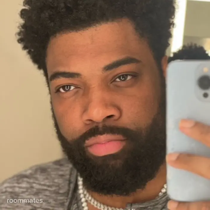 Roommate looking Chicago, IL, $1000