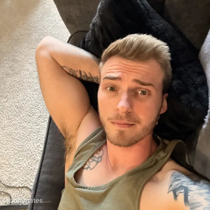 Roommate looking Chandler, AZ, $1000