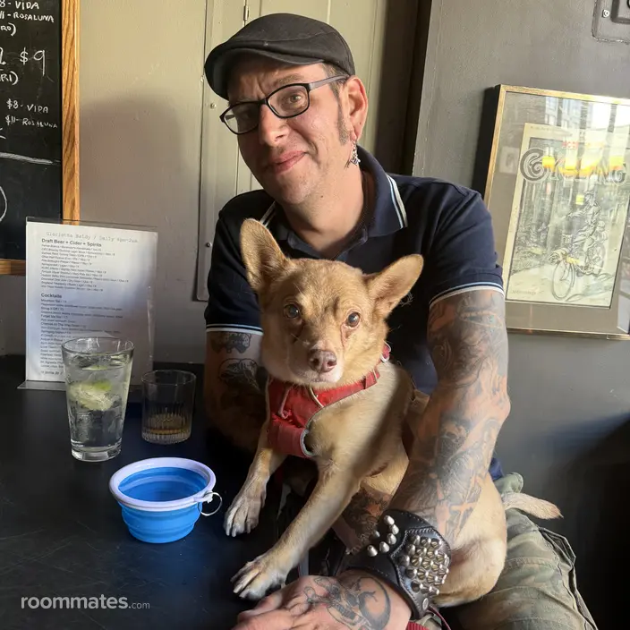Roommate looking Brooklyn, NY, $1300